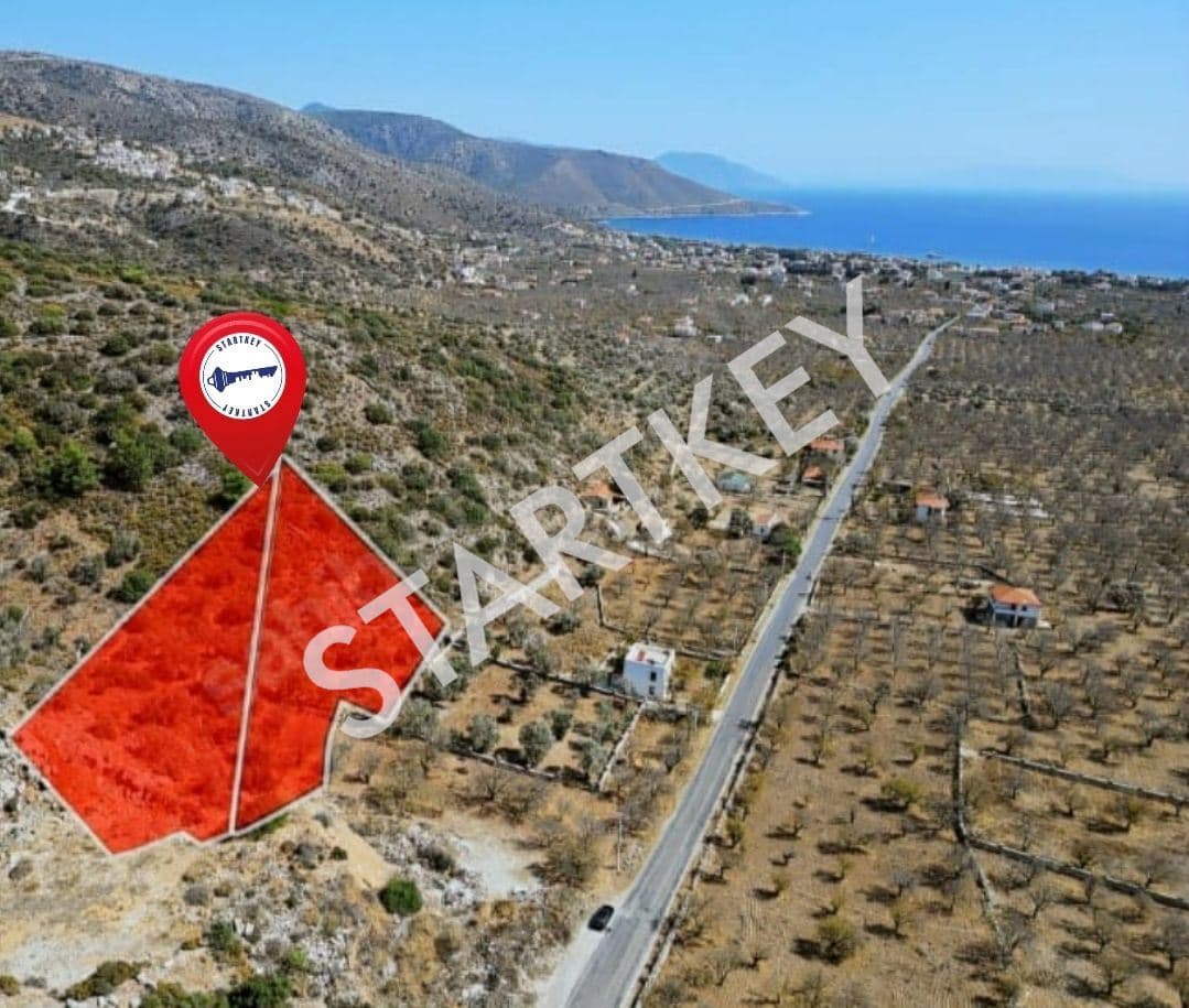 Yaka Mah. Palamutbükü'nde Yatırımlık Tarla — kare 2
