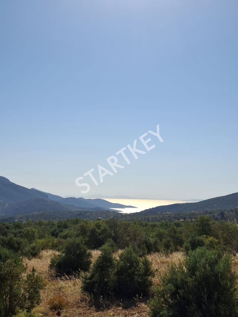 Datça Cumalı'da Deniz Manzaralı Tarla — kare 3