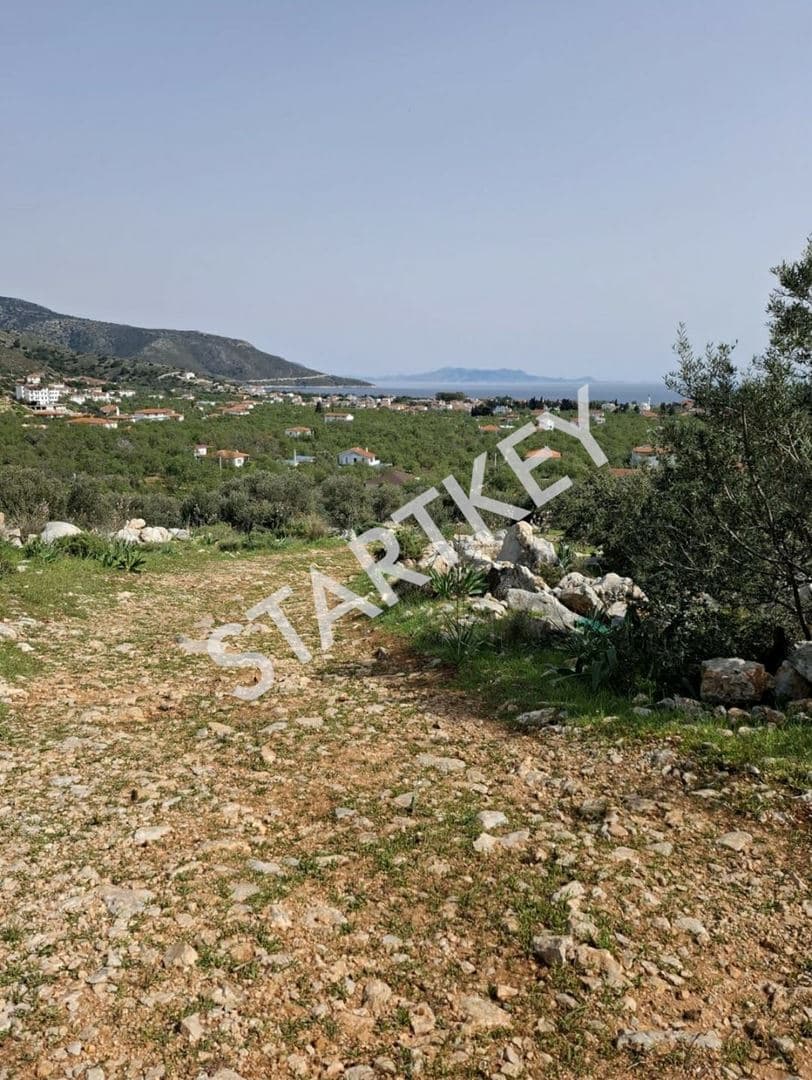 Yaka Mah. Palamütbükü'nde Deniz Manzaralı Tarla — kare 5