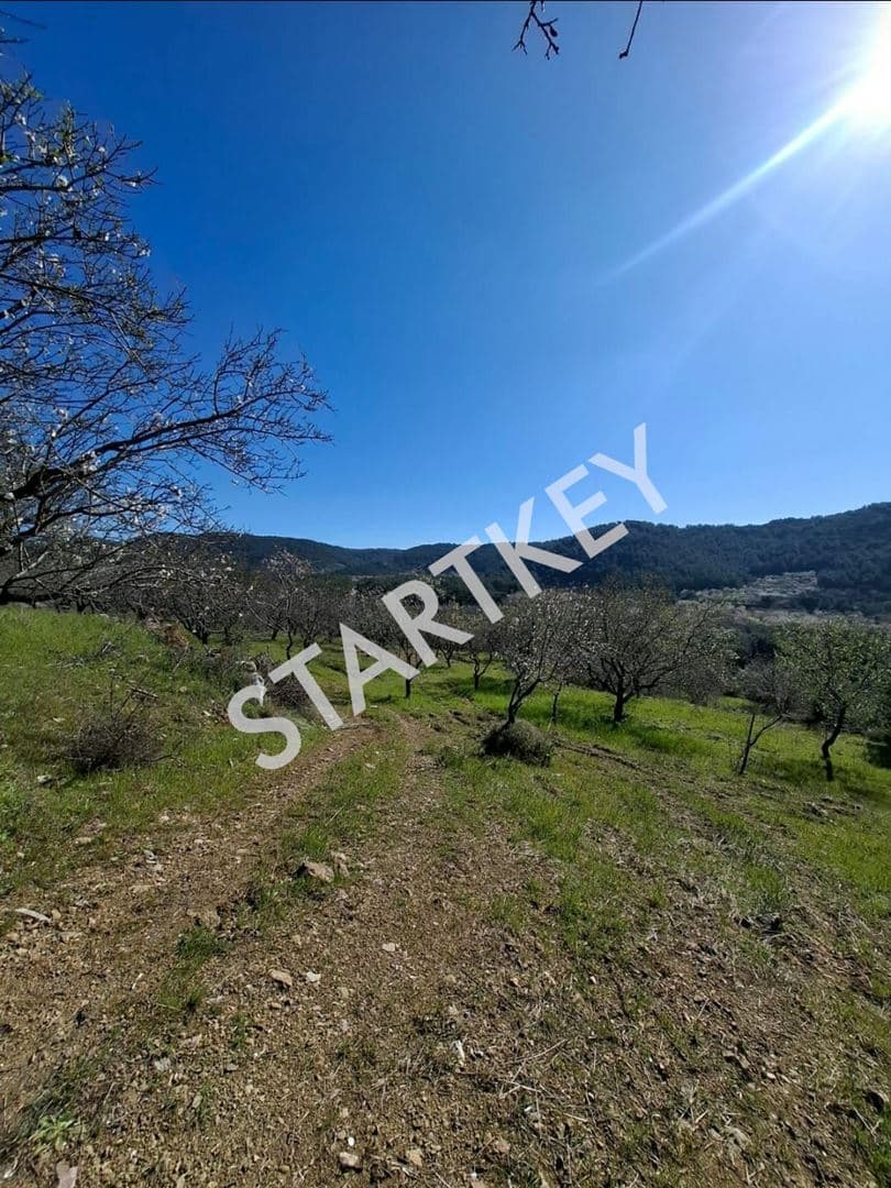 Datça Yazı'da Satılık Tarla