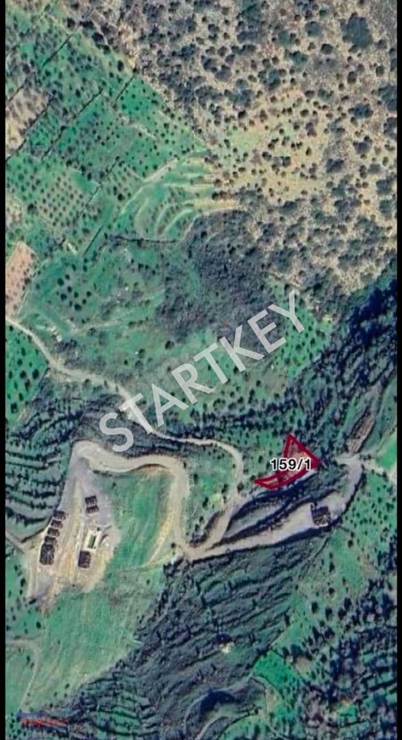Starkey Pelit Datça Yazı Mahallesi'nde 740 m² Satılık Zeytinlik — kare 3