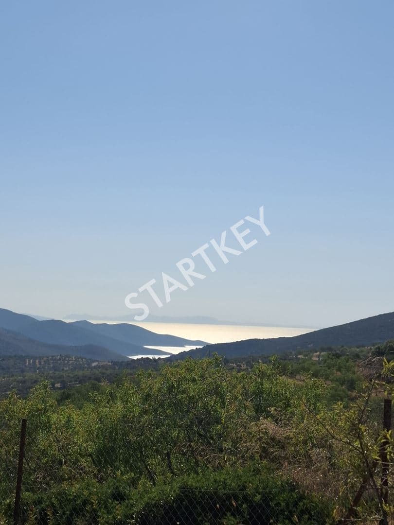 Datça Cumalı'da Deniz Manzaralı Tarla — kare 2
