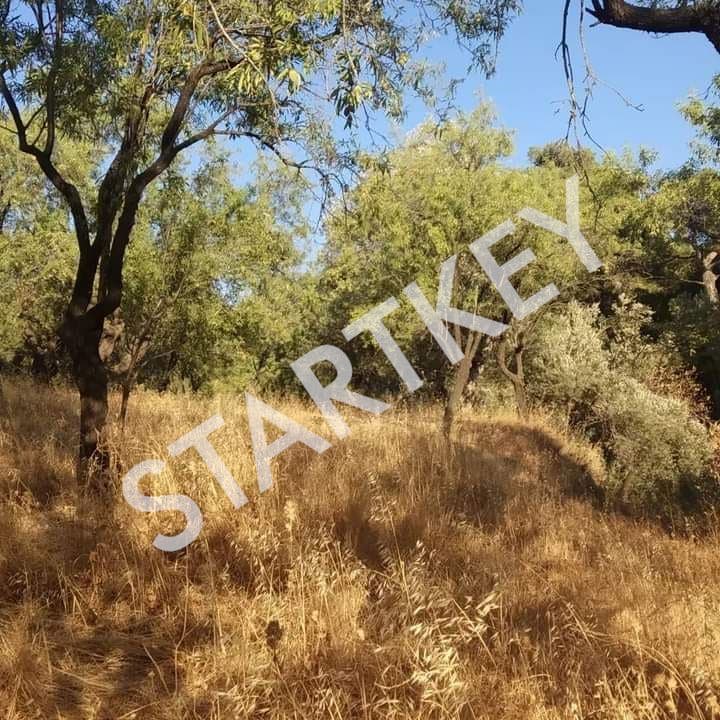Datça Sındı'da Satılık Yatırımlık Tarla — kare 4