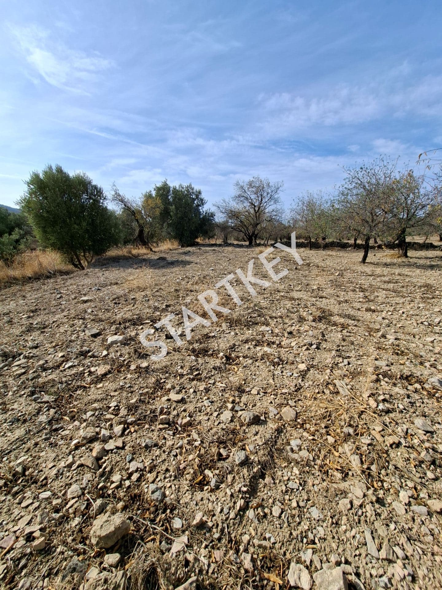 Cumalı'da Satılık Tarla