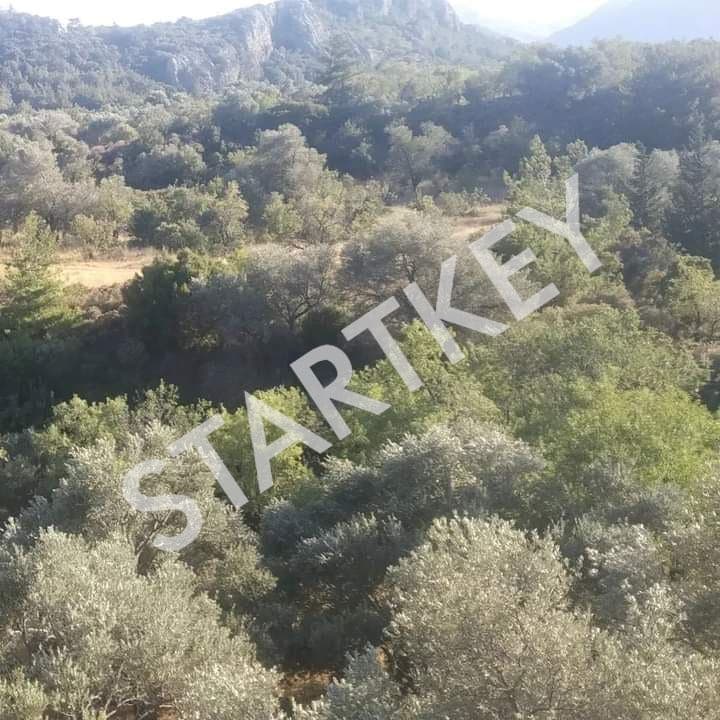 Datça Sındı'da Satılık Yatırımlık Tarla — kare 3