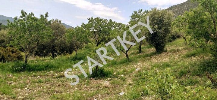 Yazı'da Satılık Tarla