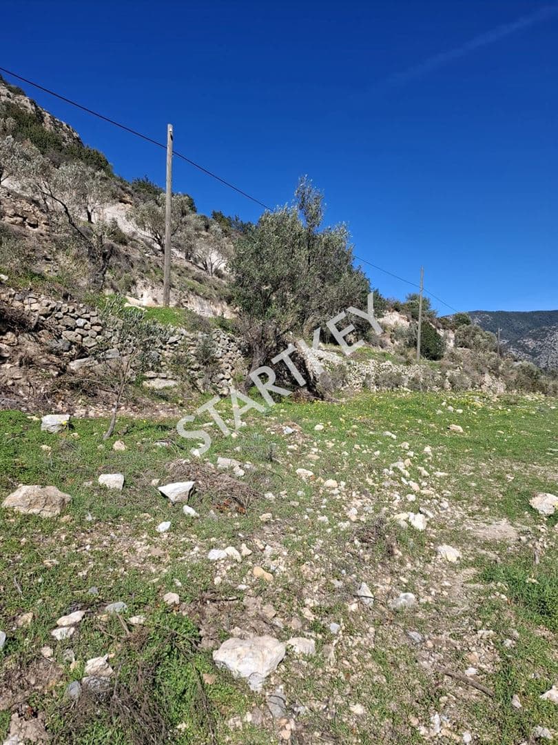 Yazı'da Satılık Yatırımlık Tarla — kare 3